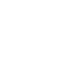 Rustic Vital — HyperNeuron client logo